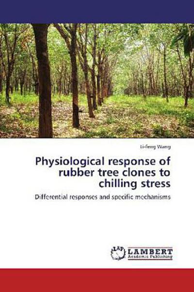 Physiological response of rubber tree clones to chilling stress