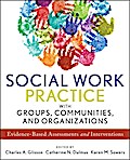 Social Work Practice with Groups, Communities, and Organizations