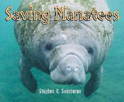 Saving Manatees