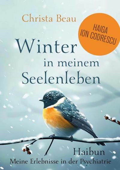 Winter in meiner Seele