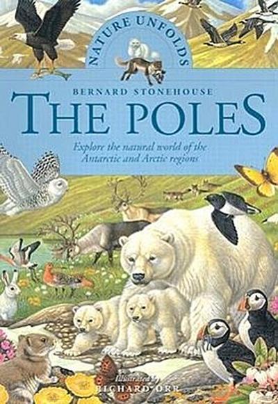 The Poles
