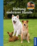 Haltung mehrerer Hunde von Martin Rütter | Ebook