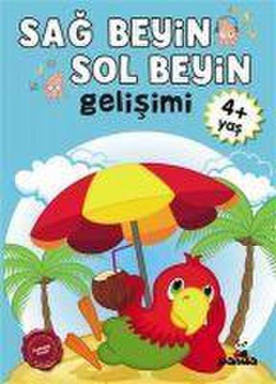 4 Yas Sag Beyin-Sol Beyin Gelisimi