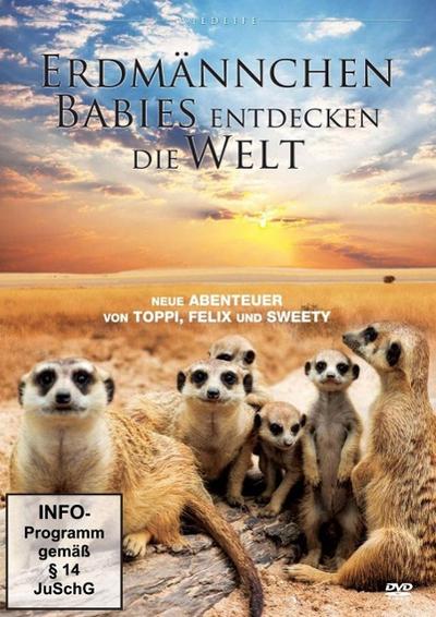 Erdmännchen-Babies entdecken die Welt, 1 DVD