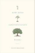 How Does Sanctification Work?
