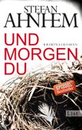 Und morgen du: Kriminalroman (Ein Fabian-Risk-Krim