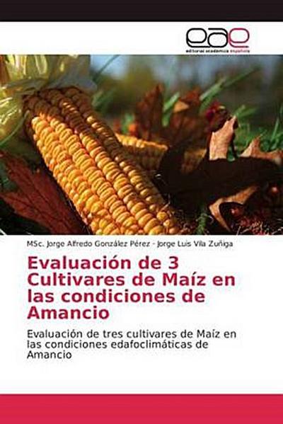 Evaluación de 3 Cultivares de Maíz en las condiciones de Amancio