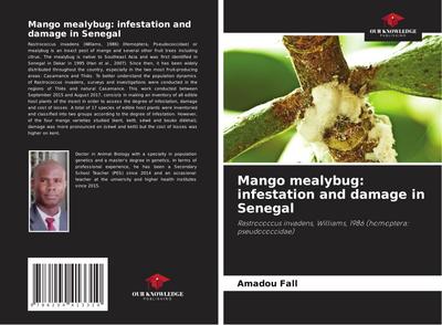 Mango mealybug: infestation and damage in Senegal