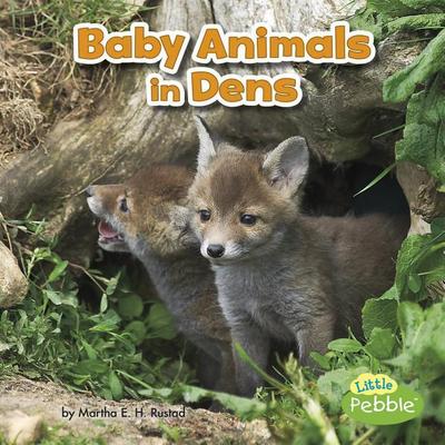 Baby Animals in Dens