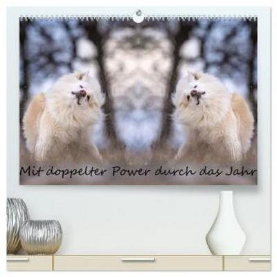 Mit doppelter Power durch das Jahr (hochwertiger Premium Wandkalender 2026 DIN A2 quer), Kunstdruck in Hochglanz