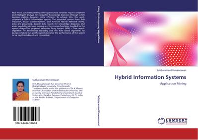 Hybrid Information Systems