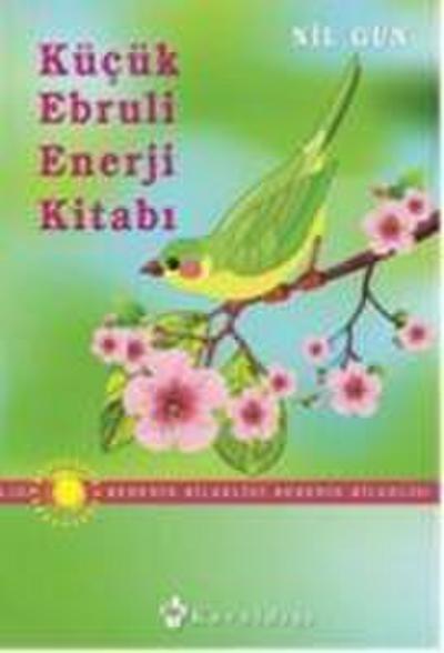 Kücük Ebruli Enerji Kitabi
