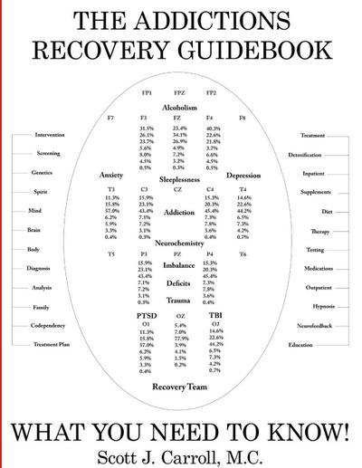 THE ADDICTIONS  RECOVERY GUIDEBOOK