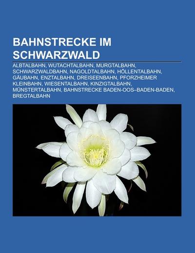Bahnstrecke im Schwarzwald