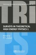 Surveys in theoretical high energy physics 1
