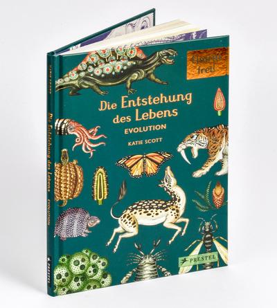 Die Entstehung des Lebens - Evolution