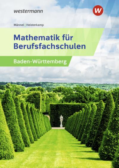 Mathematik für Berufsfachschulen. Schulbuch. Algebra und Geometrie