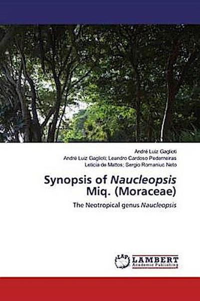 Synopsis of Naucleopsis Miq. (Moraceae)