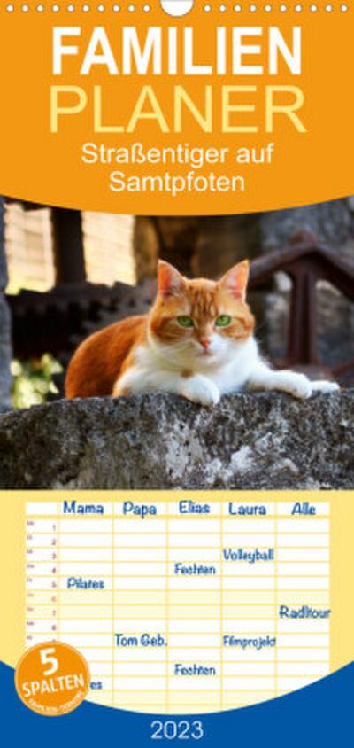 Familienplaner Straßentiger auf Samtpfoten (Wandkalender 2023 , 21 cm x 45 cm, hoch)