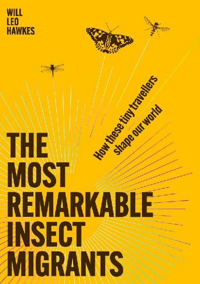 The Most Remarkable Insect Migrants