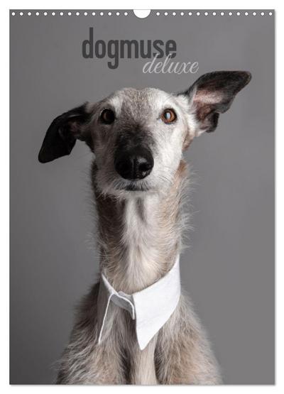 dogmuse deluxe (Wandkalender 2025 DIN A3 hoch), CALVENDO Monatskalender