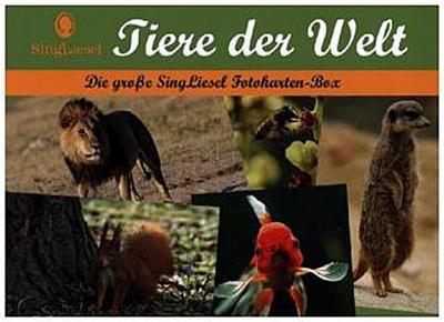 Tiere der Welt - Fotokarten für Senioren