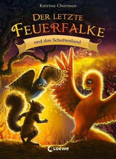 Der letzte Feuerfalke und das Schattenland