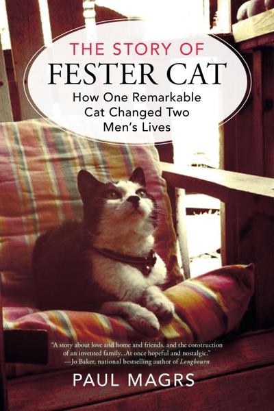 The Story of Fester Cat