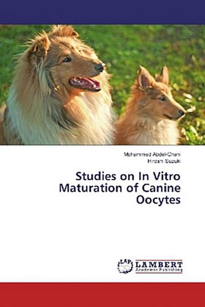 Studies on In Vitro Maturation of Canine Oocytes