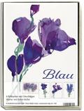 KK-Box Blau