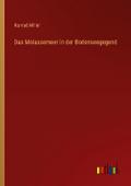 Das Molassemeer in der Bodenseegegend