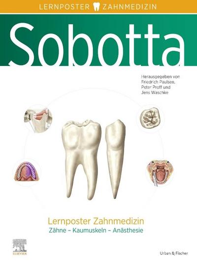 Sobotta Lernposter Zahnmedizin