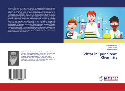 Vistas in Quinolones Chemistry