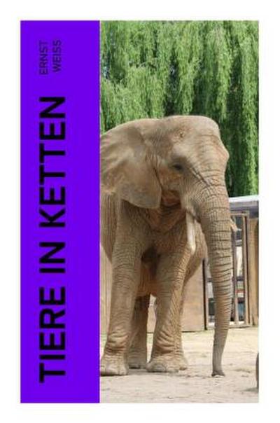 Tiere in Ketten