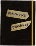 Damien Hirst - Drawings