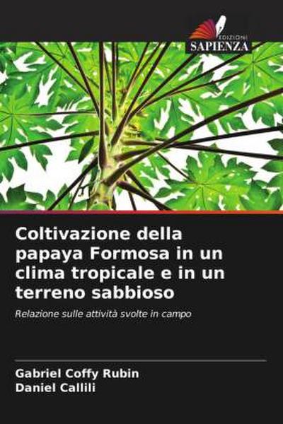 Coltivazione della papaya Formosa in un clima tropicale e in un terreno sabbioso