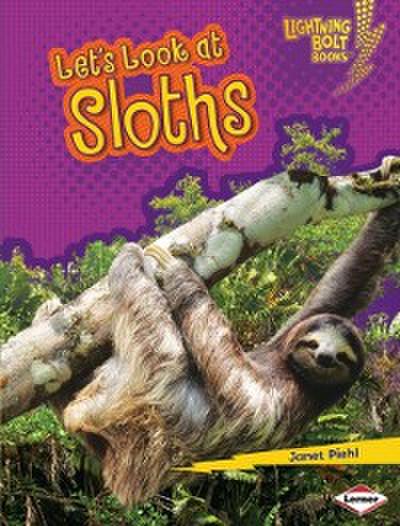 Let’s Look at Sloths