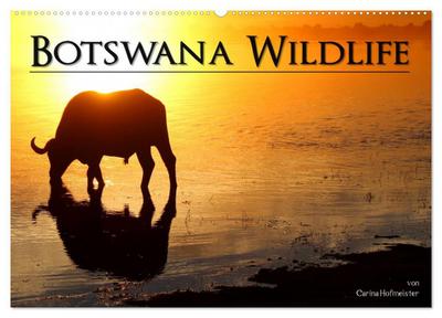 Botswana Wildlife (Wandkalender 2026 DIN A2 quer), CALVENDO Monatskalender