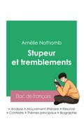 Réussir son Bac de français 2023 : Analyse du roman Stupeur et tremblements de Amélie Nothomb
