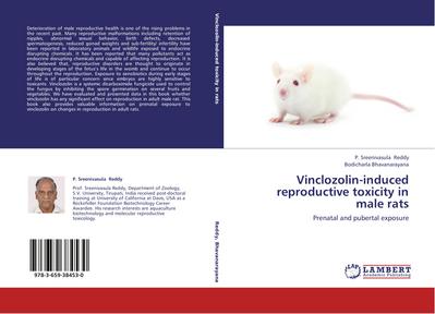 Vinclozolin-induced reproductive toxicity in male rats