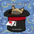 Houdini The Cat