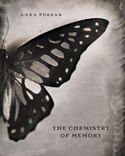The Chemistry of Memory