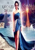 The Upcycled Dream