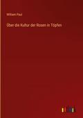 Über die Kultur der Rosen in Töpfen