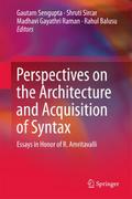 Perspectives on the Architecture and Acquisition o
