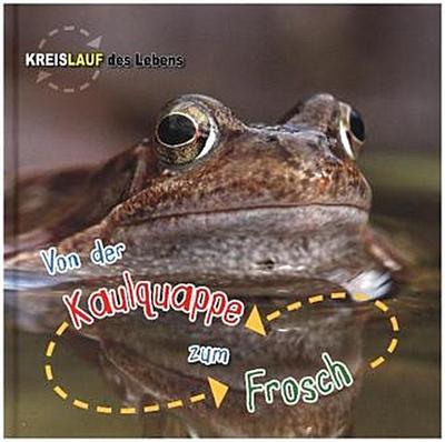 Von der Kaulquappe zum Frosch