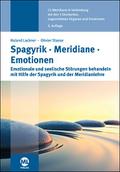 Spagyrik Meridiane Emotionen