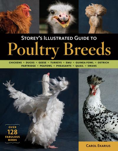 Storey’s Illustrated Guide to Poultry Breeds