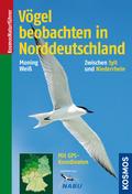 Vögel beobachten in Norddeutschland