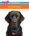 Le labrador